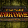 Total War: WARHAMMER - Realm of The Wood Elves